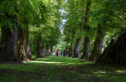 Rhodes Bed & Breakfast | Domaine Les Bachats