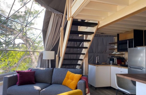 Perce Ski Chalet | Dome #1 forested at Domaine Renard