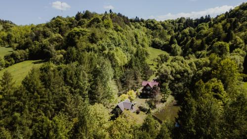 Solina Ski Chalet | Domki u Serowarki
