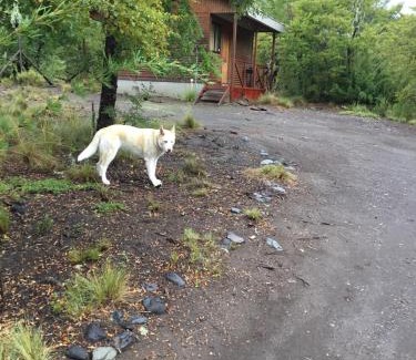 Pinto House | Don Guillermo Cabins