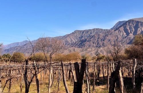 Tinogasta House | Don Luis Alberto