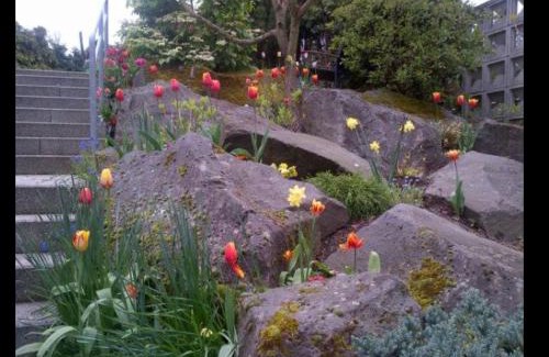 Winningen House | Doppelzimmer mit Wasserbett