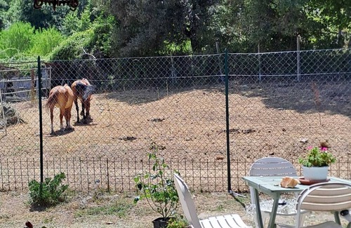 Fornole House | Double room with private bathroom and small exclusive garden