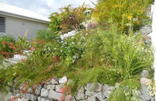 Bouillante House | Douceurs Caraïbes, Gîte Balisier.