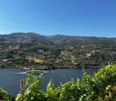 Anreade House | Douro Nest House