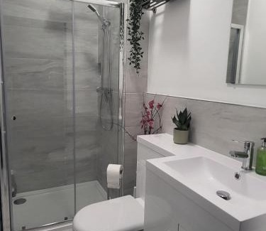 New Forest District House | Dragonflies