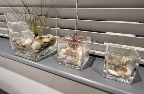 New Forest District House | Dragonflies