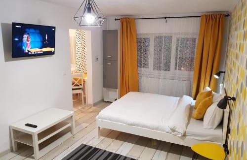 Petrosani Apartment | Dream Studio 2 Petrosani