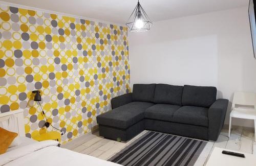 Petrosani Apartment | Dream Studio 2 Petrosani