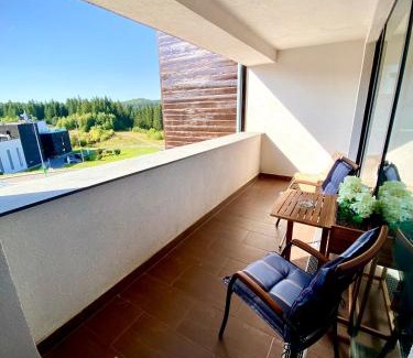 Poiana Brasov Apartment | Dream Studio Silver Mountain