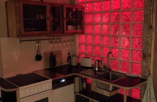 Loschwitz Apartment | Dresden in beautiful studio apartment with garden view