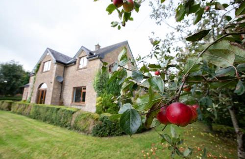 Cavan House | Drumbo Lodge Cavan