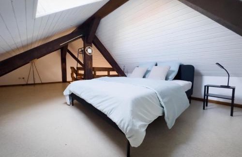 Soultz-Haut-Rhin Apartment | Duplex centre ville