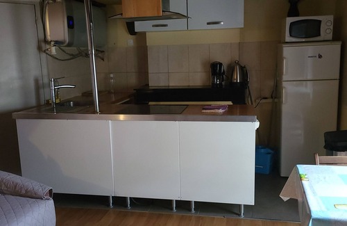 Roanne Apartment | DUPLEX UNDER THE SLOPES ON THE BANKS OF THE LOIRE (APT N°22)