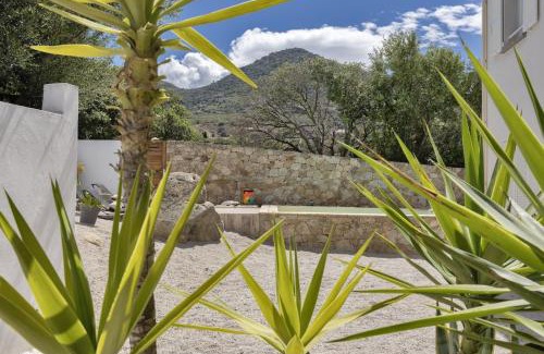 L'Ile-Rousse Villa | E Case D’Olivia Casa 1