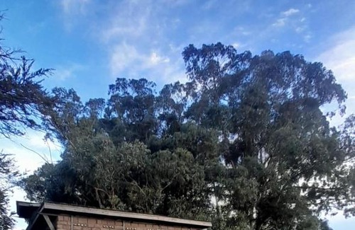 Tandil Apartment | Eco Casita