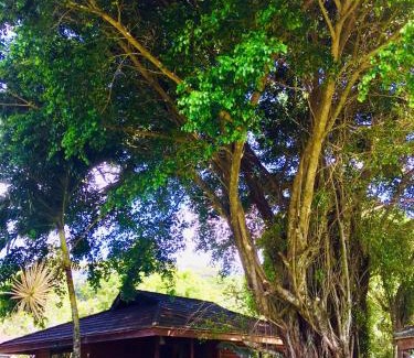 Paopao House | Eco Lodge Village Temanoha