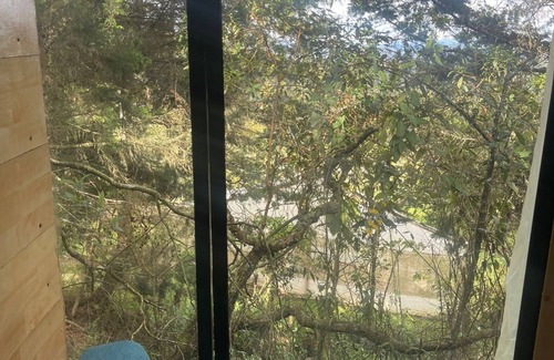 Guarne Cabin | Eco Village Rustic Forest Cabin
