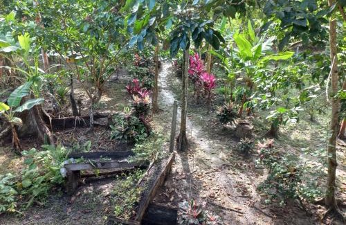 Leticia House | Ecofinca del Paraíso