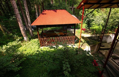 Predeal Apartment | Economy Triple Room, Mountain View