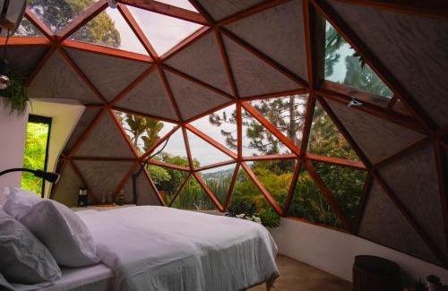 Cali Hotel | Ecoresort Colombo Holandes