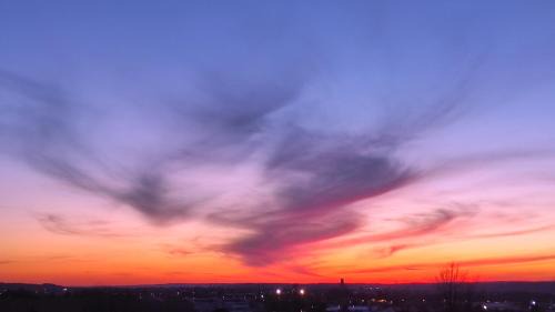 Albi House | Eden 122