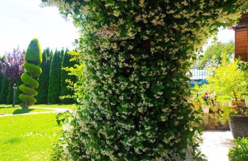 Edessa Apartment | Eden Stay