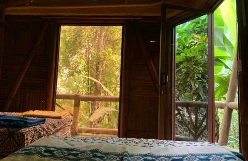 Parroquia Tarqui Cabin | El Mono de Pacoche