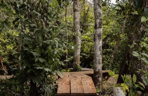 La Macarena Bed & Breakfast | El Nido serene cabin with natural pool and chef 2