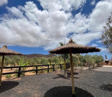 Puerto del Rosario Apartment | El Olivar Experiences - Adults Recommended