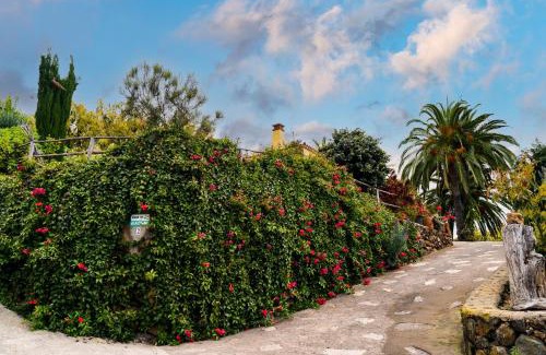 Tijarafe House | El Palmeral