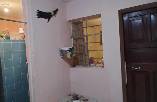 Historical Center House | El refugio de la plaza