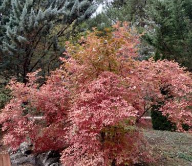 Riopar House | El Rincón de María.