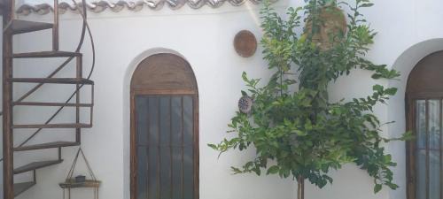 Pegalajar House | EL RINCON DEL ROMERAL