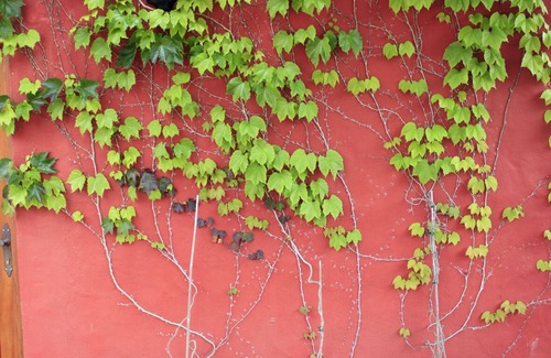 Barranco del Pinar Cottage | El Roble rural holiday home