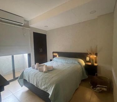 Tunuyan Apartment | El trébol