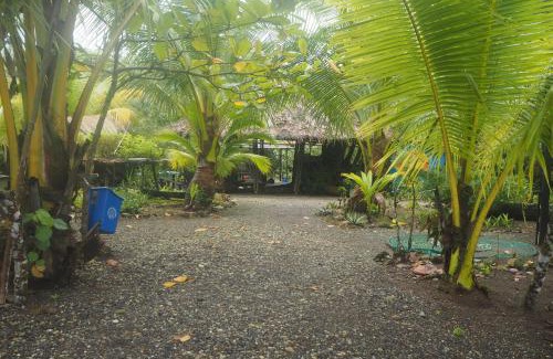 Arusi Cabin | El Vijo Surf