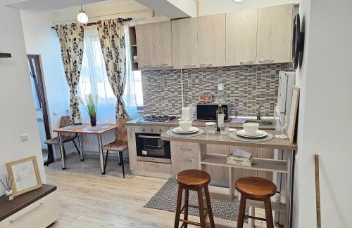 Iasi Apartment | Ela Home Concept Residence