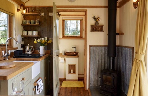 Trusham Cabin | Elder - Little Ash Luxury Shepherd's Hut