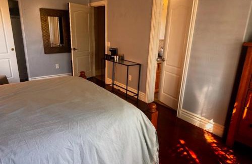 Mesa House | Elegance Meets Comfort