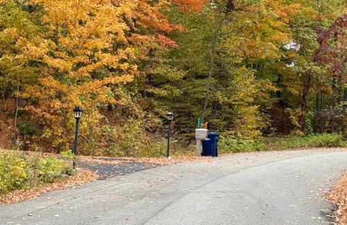 Traverse City Apartment | Elegant 2 King Bedrooms Apartment - 4 guest maximum and2 night minimum