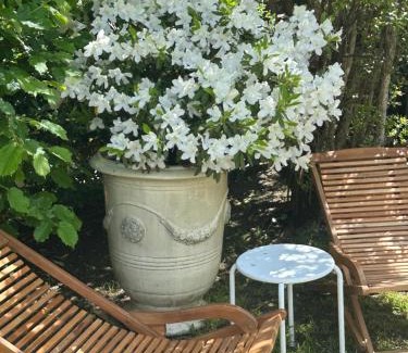 Fiesole Apartment | Elegante bilocale/Elegant Double Room