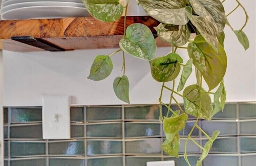 Canadensis Cabin | Elements Pocono Cabin | Pickleball | Firepits