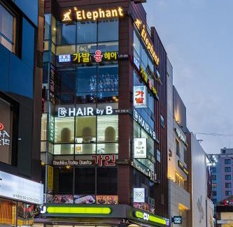 Jung-gu Apartment | Elephant