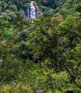 Ella Bed & Breakfast | Ella Jungle Cottage