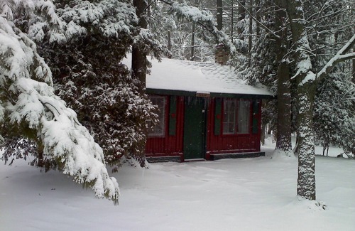 Grawn Cabin | Ellis Lake Resort - Cedar Log Cabin - Interlochen/Traverse City