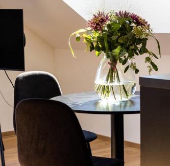 Wals-Siezenheim Apartment | Elmi 33