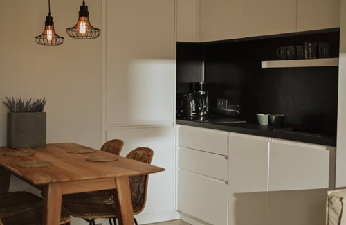 Aktio-Vonitsa Apartment | Elsa Modern Apartments. One bed Upper level Apt 4