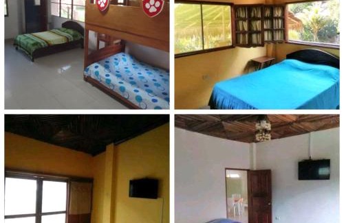 San Juan Bautista House | Emerald forest