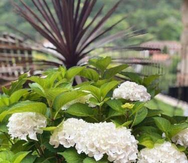 Bitetos Villa | Emiliadourohouse